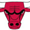 bulls small logo