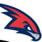 Hawks small logo