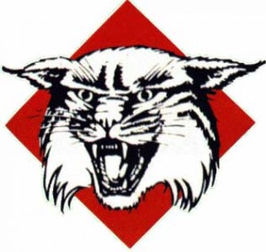Davidson_Wildcats_logo