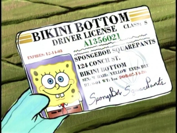 Spongebob's_Drivers_License